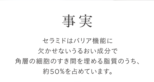 事実
セラミドはバリア機能に
欠かせないうるおい成分で
角層の細胞のすき間を埋める脂質のうち、
約50%を占めています。