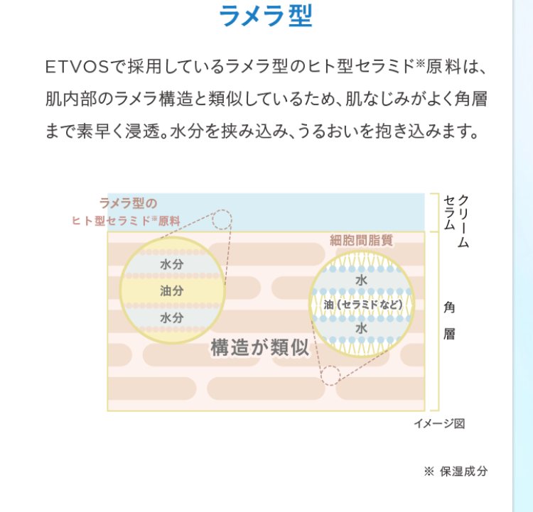 ラメラ型
ETVOSで採用しているラメラ型のヒト型セラミド原料は、
肌内部のラメラ構造と類似しているため、 肌なじみがよく角層
まで素早く浸透。 水分を挟み込み、うるおいを抱き込みます。
ラメラ型の
ヒト型セラミド※原料
水分
油分
細胞間脂質
水
油(セラミドなど)
水分
1000000000
水
構造が類似
ラリ
セラム
クリーム
角 層
イメージ図
※ 保湿成分