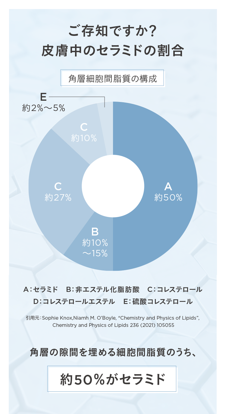 ご存知ですか?
皮膚中のセラミドの割合
角層細胞間脂質の構成
E
約2%~5%
C
約27%
約10%
B
約10%
~15%
A
約50%
A:セラミド B:非エステル化脂肪酸 C: コレステロール
D:コレステロールエステル E: 硫酸コレステロール
引用元: Sophie Knox, Niamh M. O'Boyle, “Chemistry and Physics of Lipids",
Chemistry and Physics of Lipids 236 (2021) 105055
角層の隙間を埋める細胞間脂質のうち、
約50%がセラミド