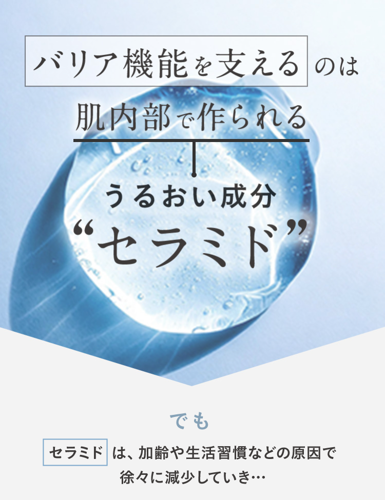 バリア機能を支えるのは
肌内部で作られる
うるおい成分
“セラミド”
でも
セラミドは、加齢や生活習慣などの原因で
徐々に減少していき…･･