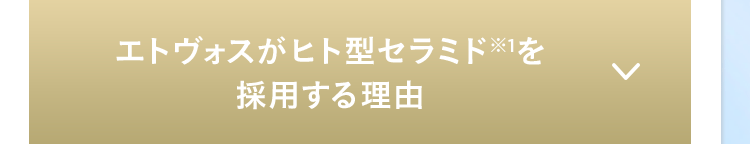 エトヴォスがヒト型セラミド ※1を
採用する理由